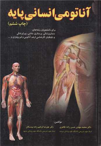 آناتومی انسانی پایه