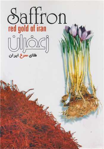 زعفران طلای سرخ ایران